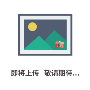 人臍靜脈血管內(nèi)皮細胞株